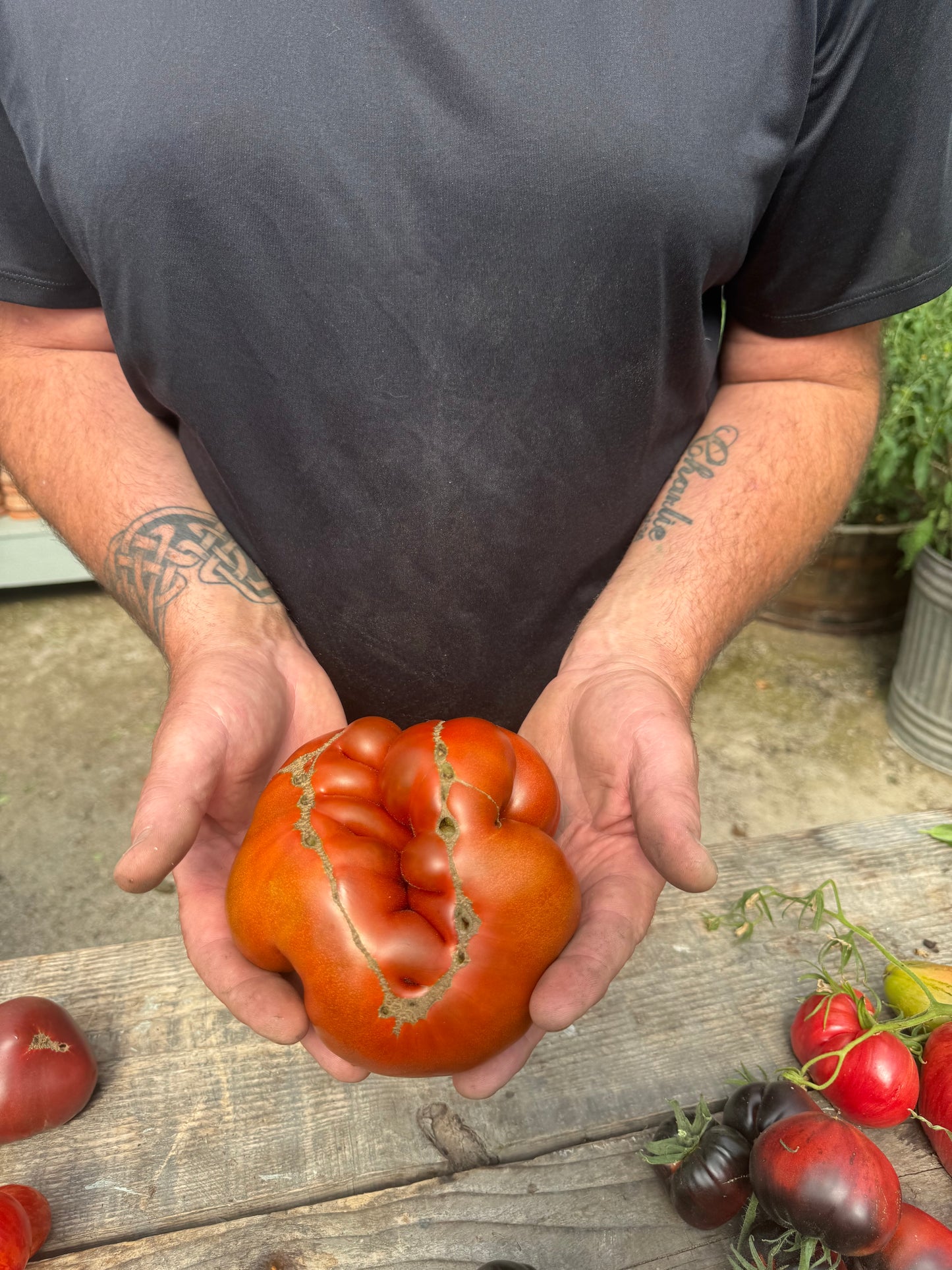 DWARF Chocolate Factory