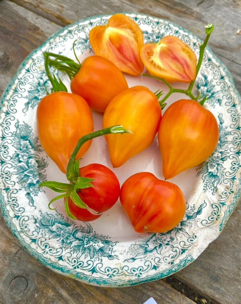 Auntie Gretls magic hats