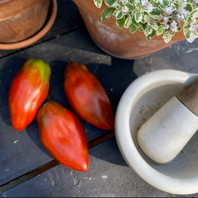 Cuban Peppers like black