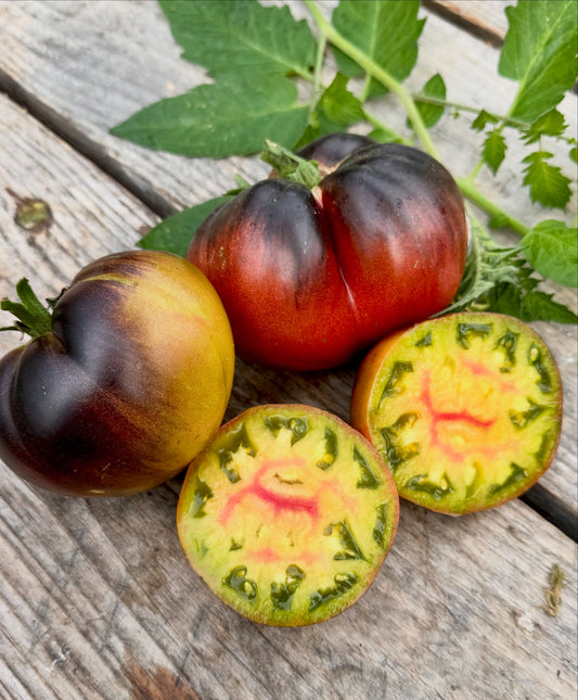 Sofias Bliss tomato