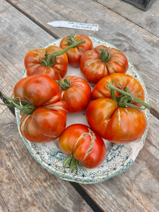 DWARF Chocolate Factory