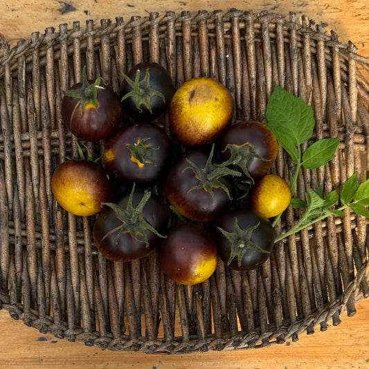 Chocolate marmelade