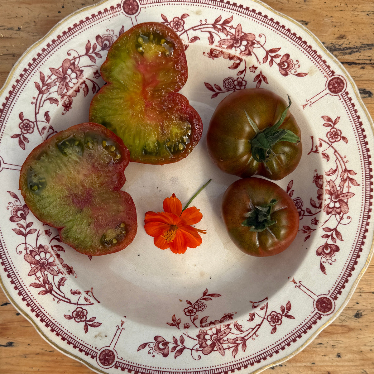 Copia Pomme