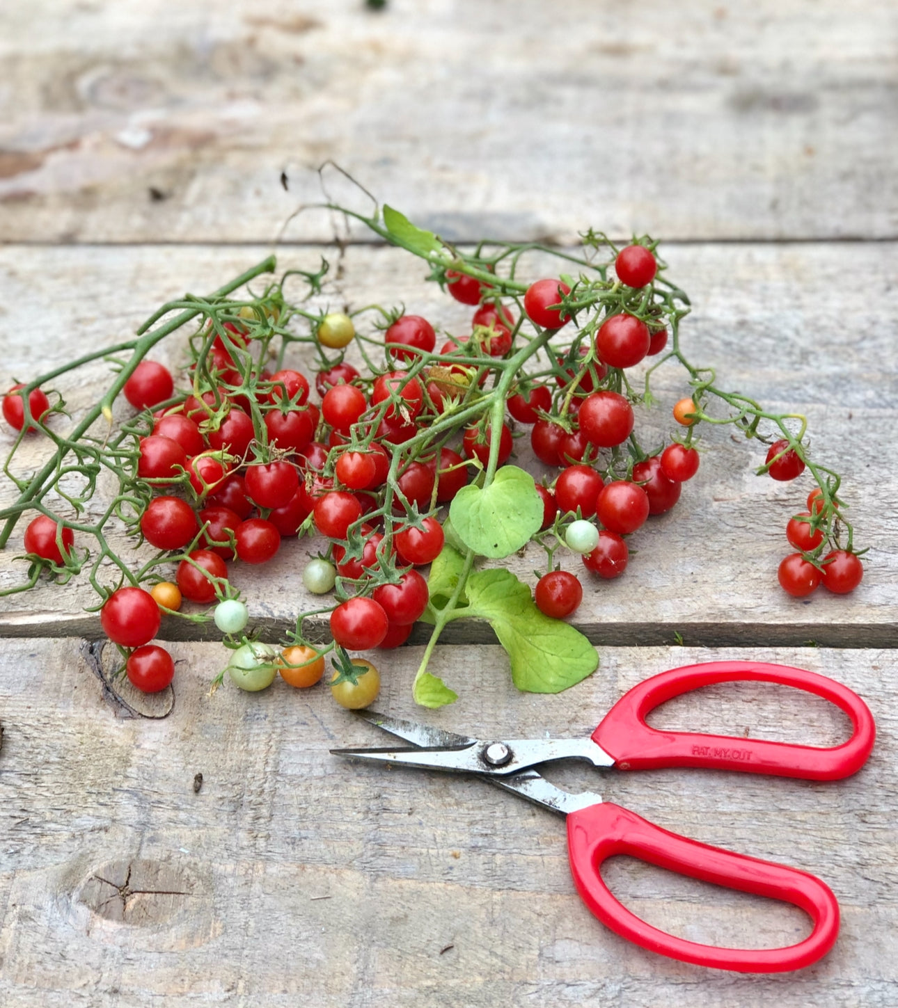 Hundreds and thousands