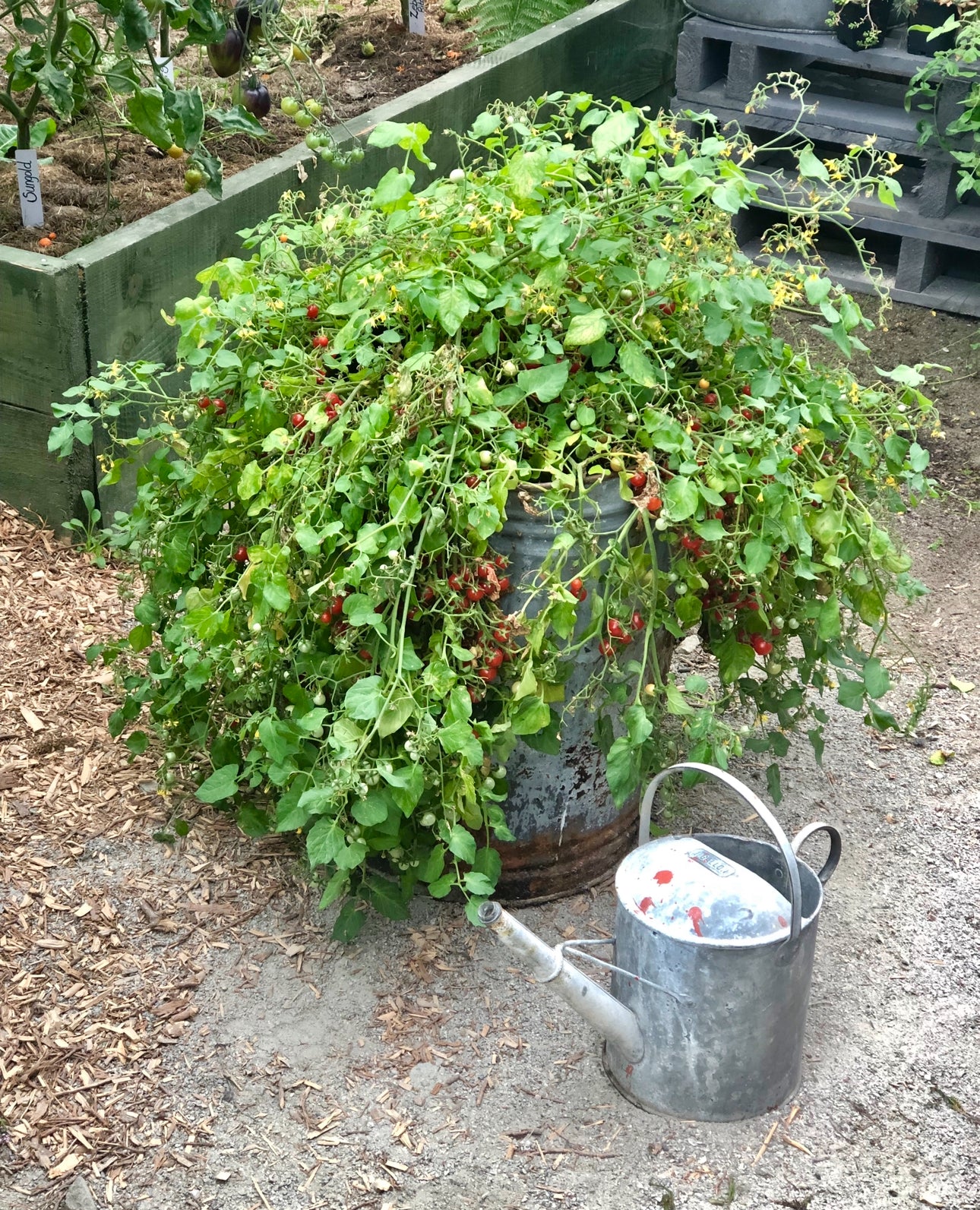 Hundreds and thousands