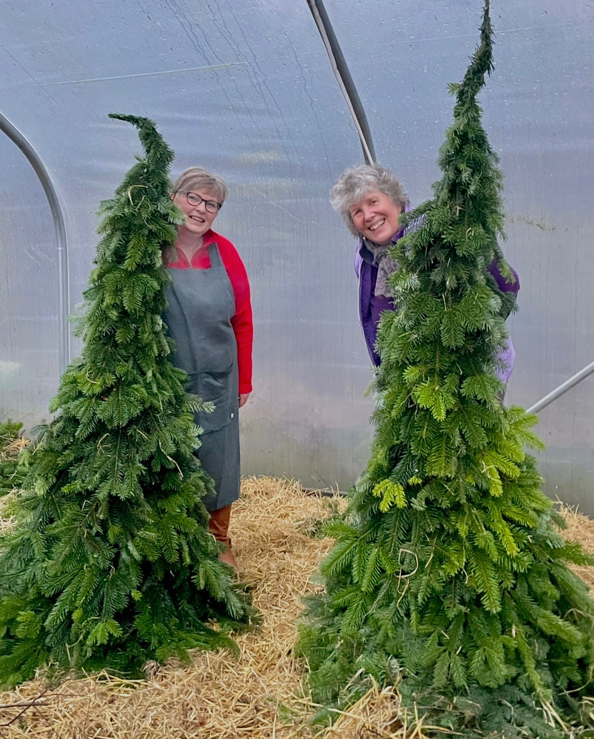 Make your own Christmas tree 12. December 2026