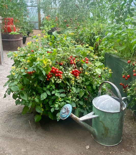 Hundreds and thousands