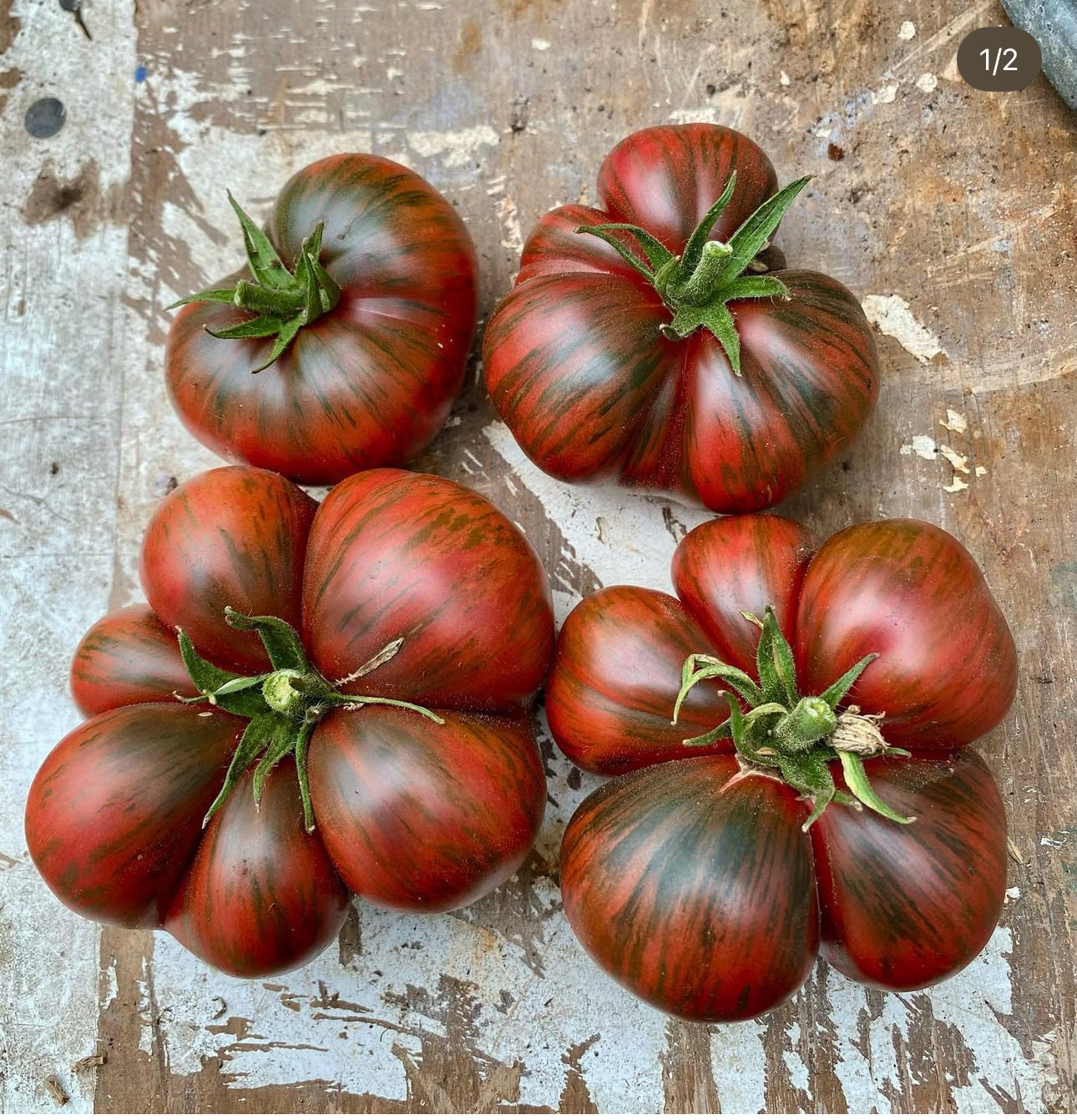 DWARF Fred’s tie dye