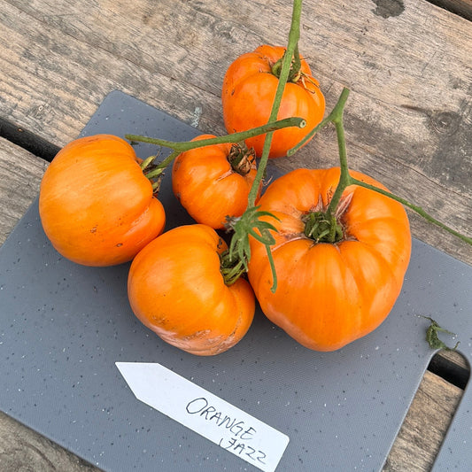 Orange Jazz
