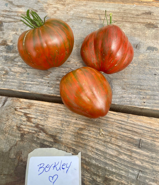 Berkley tie dye heart