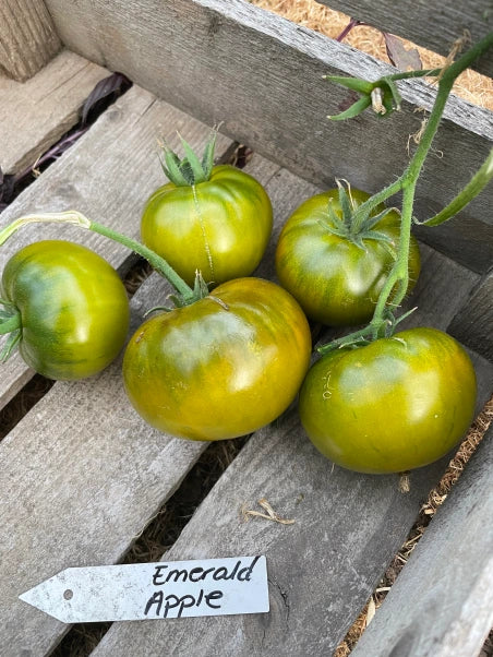 Emerald apple