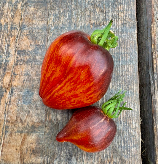 Sofia’s Sweet Caramel