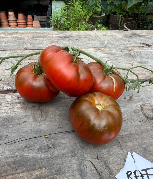 RAF tomato