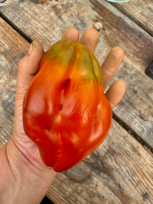 Cuban Peppers like black