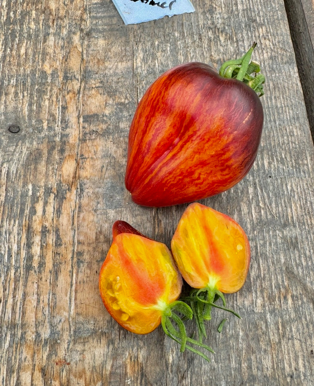 Sofia’s Sweet Caramel