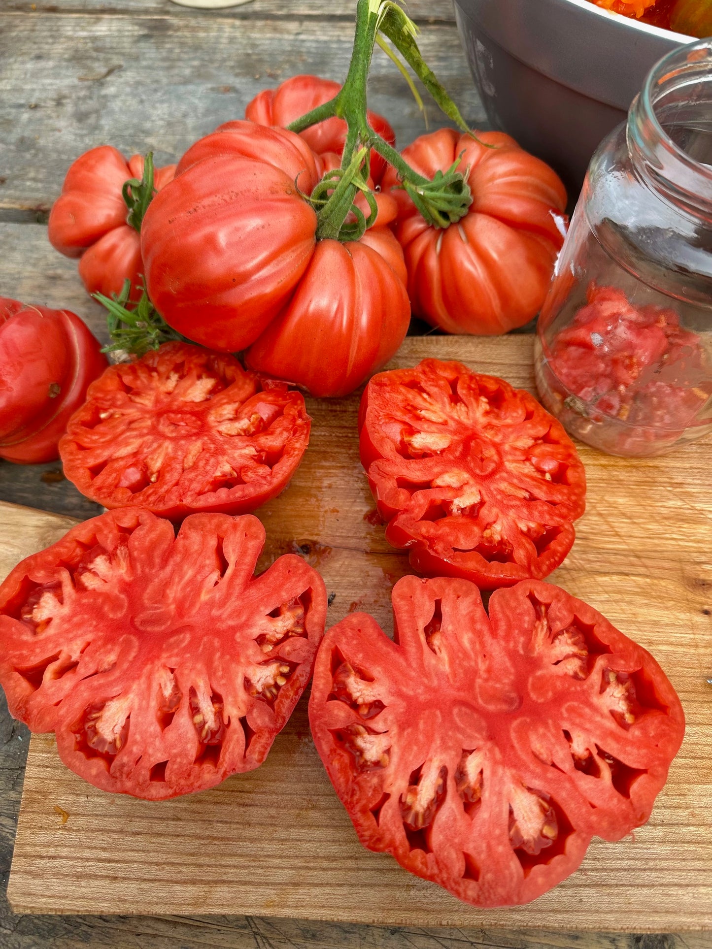 Costoluto Colli Euganei