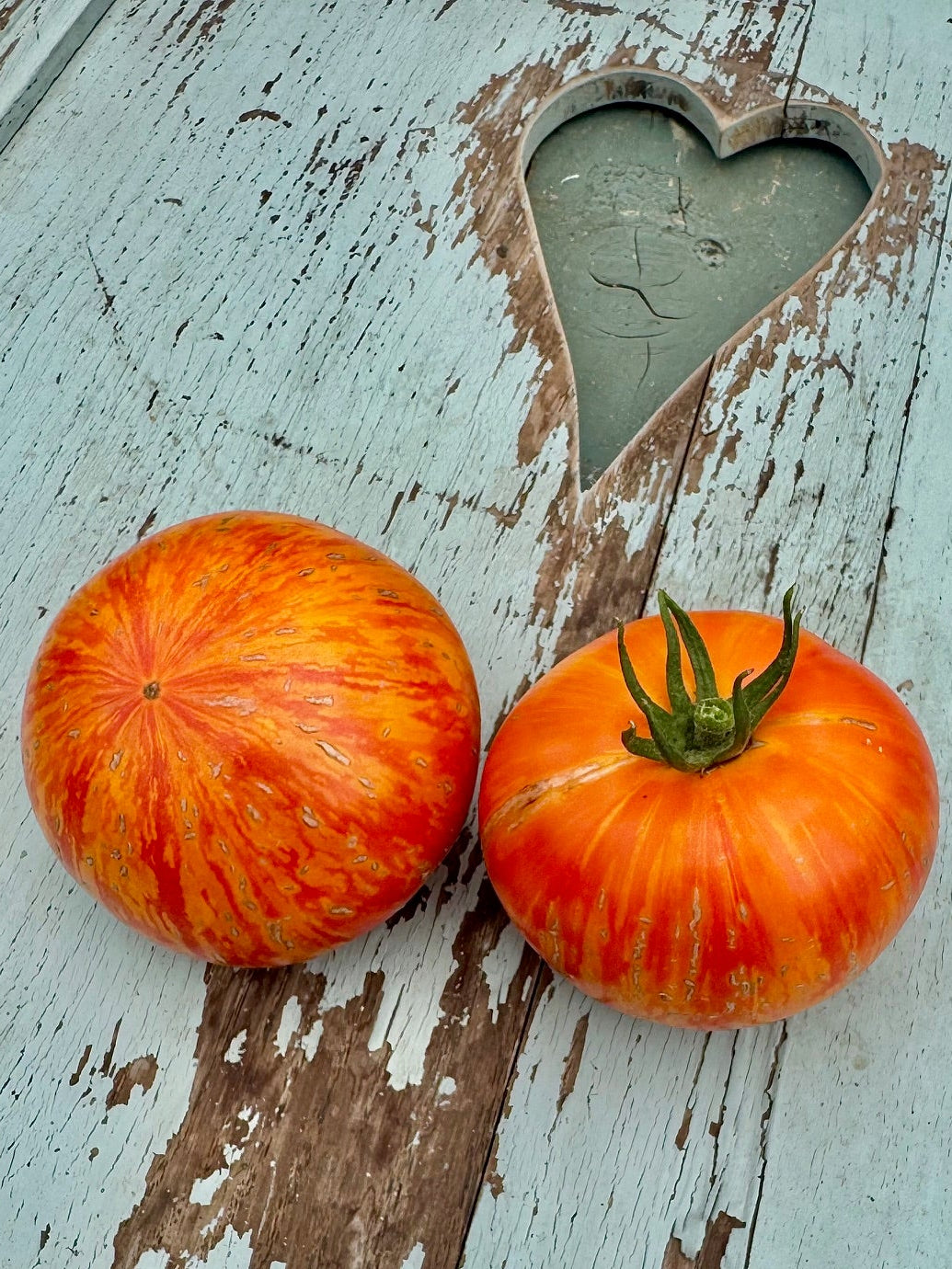 Plan 9 from outer space