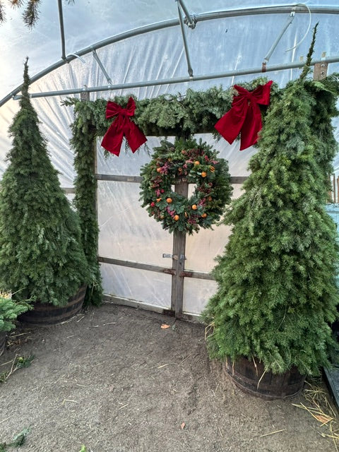 Make your own Christmas tree 12. December 2026