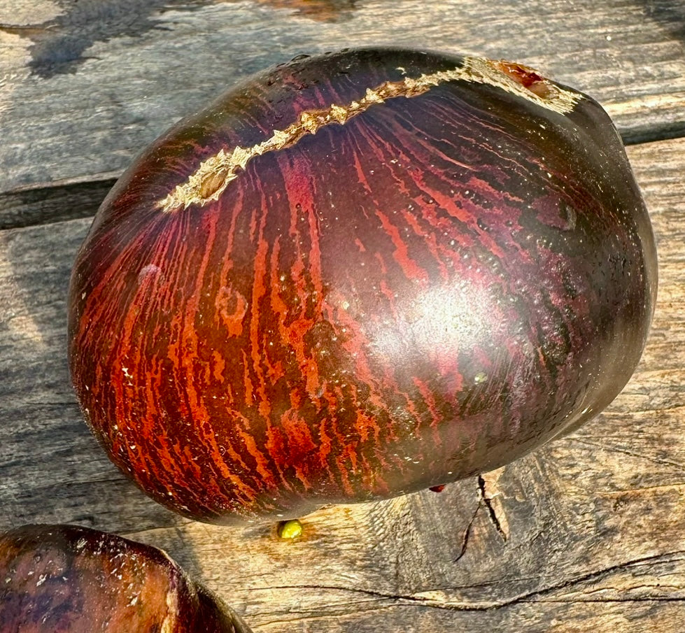 Marshas starfighter beefsteak