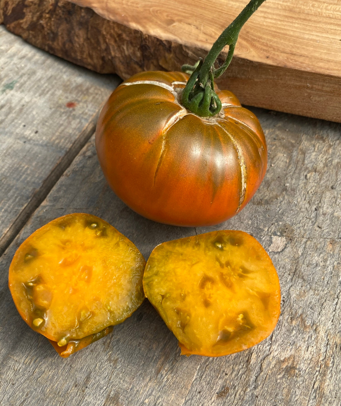 Thornburns teracotta