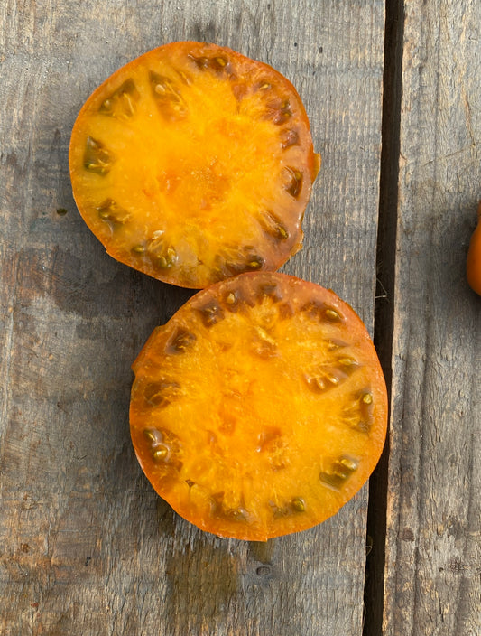 Thornburns teracotta