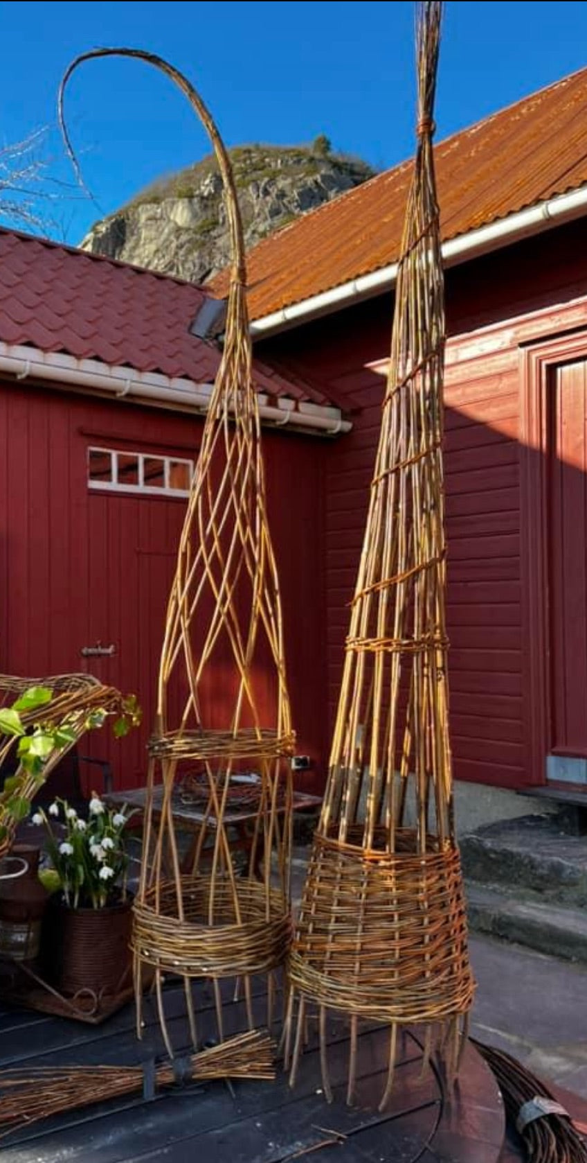WORSKSHOP -  Make your own Willow garden trellis  Saturday April 25th