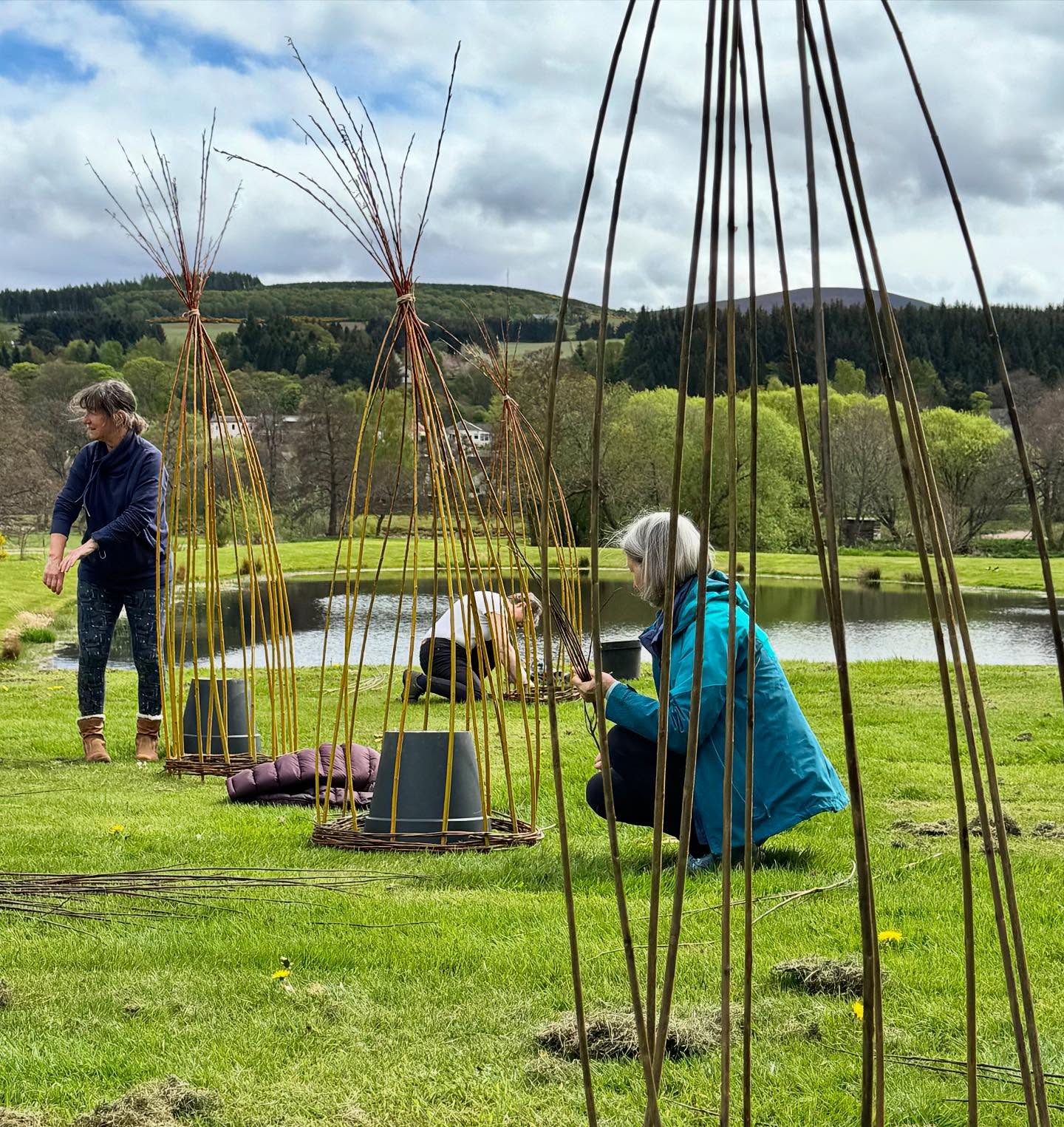WORSKSHOP -  Make your own Willow garden trellis  Saturday April 25th