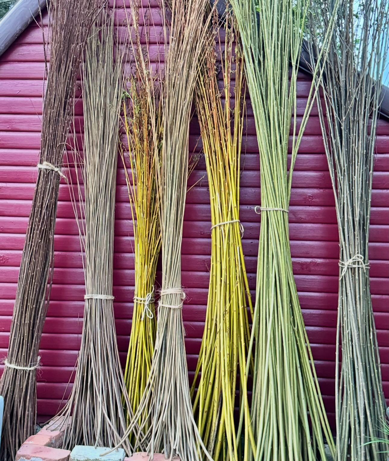 WORSKSHOP -  Make your own Willow garden trellis  Saturday April 25th