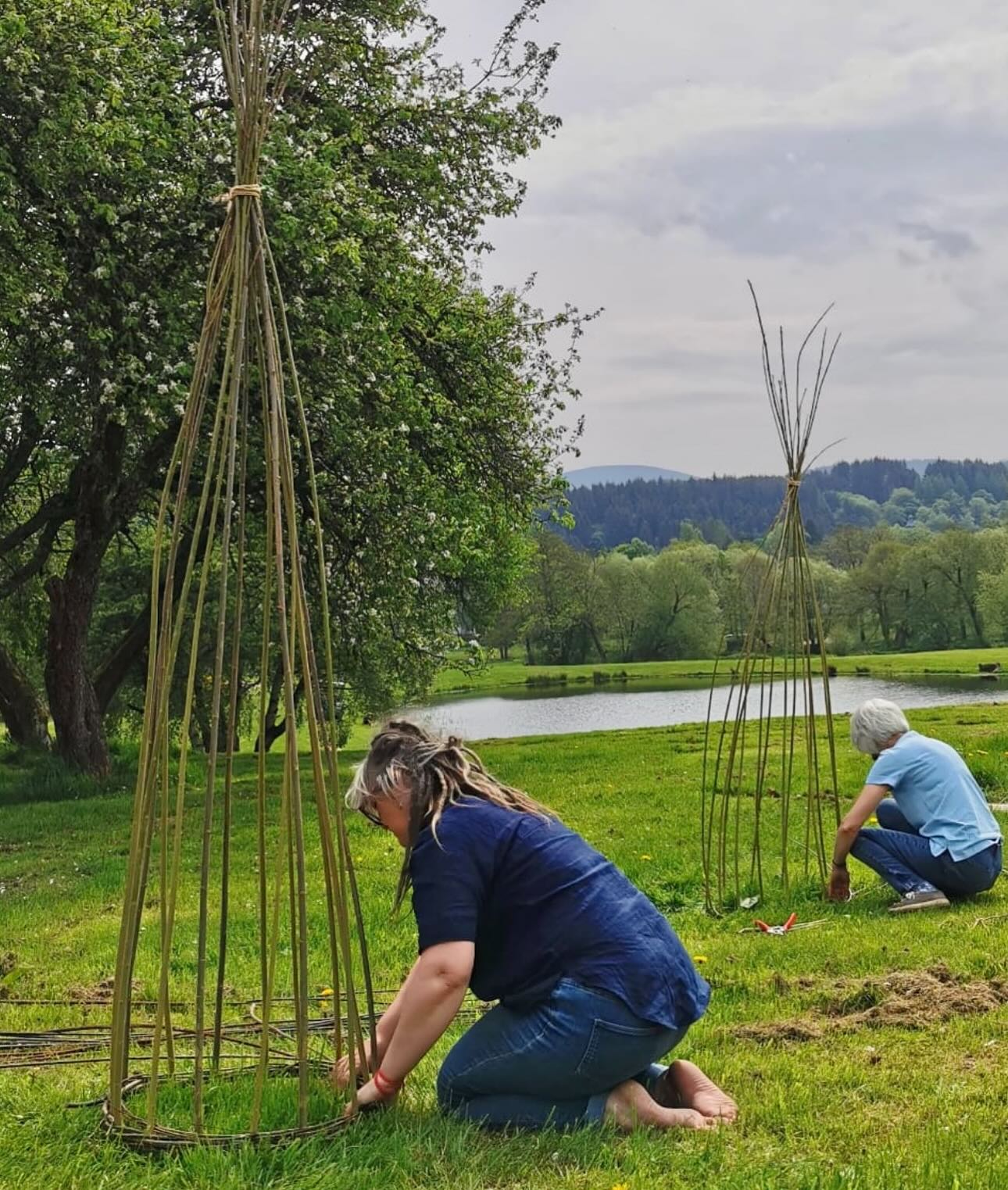 WORSKSHOP -  Make your own Willow garden trellis  Saturday April 25th